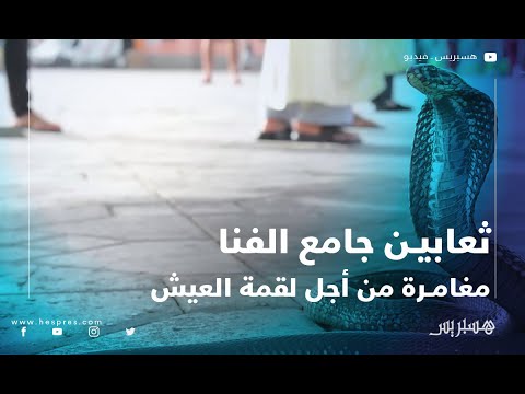 ترويض الثعابين .. "عيساوى" بين المغامرة والبحث عن لقمة العيش بجامع الفنا