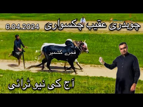Dand Fakhrey kashmir | owner ch aqeeb chakswari | new try