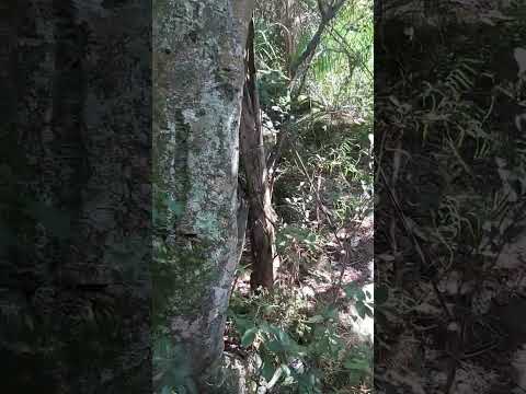 Lugar  para disfrutar, Cerro picudo,#sanmiguel  #rocha  #naturaleza #uruguay #cicloturismo