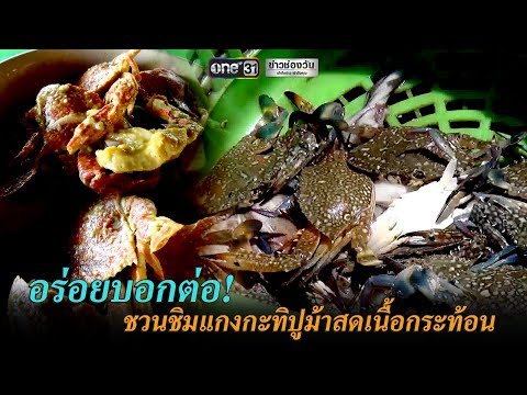 Japan Jav Porn #251457 (bx9GtyDRKKI) Thumbnail