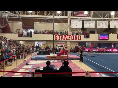 Asher Hong Pommel Horse - at Stanford Open 230128