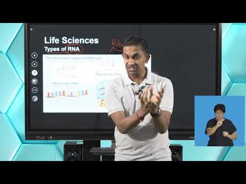 Gr12  Life Sciences - Protein Synthesis and Gene Coding