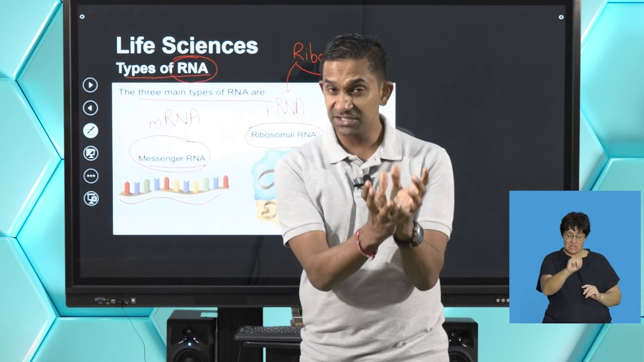 Gr12  Life Sciences - Protein Synthesis and Gene Coding