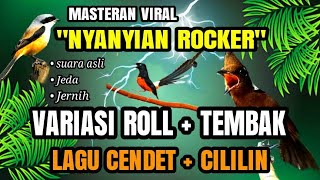 Download lagu MEWAH PARAH!! MASTERAN MURAI BATU VARIASI LAGU CENDET/PENTET CILILIN MAIN JEDA JERNIH mp3 Download lagu MEWAH PARAH!! MASTERAN MURAI BATU VARIASI LAGU CENDET/PENTET CILILIN MAIN JEDA JERNIH mp3