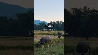 My first trip to Nan, Northern Thailand 🌿🏔️