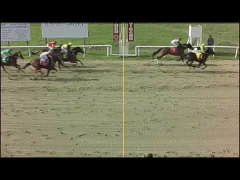 FLORIDA SINT - 230603 c04 - EL POLLERO POBRE