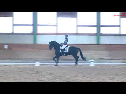 Fashion in Black NRW - Zweite Sichtung zur WM der jungen Dressurpferde 2020