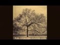 Lykke Li- I Follow Rivers- Plain Jane Automobile ...