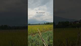 Download lagu #lecture #ustadzadihidayat #reward mp3