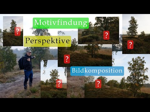 Landschaftsfotografie Nationalpark DeHamert - Motivfindung - Perspektive bestimmen - Bildkomposition