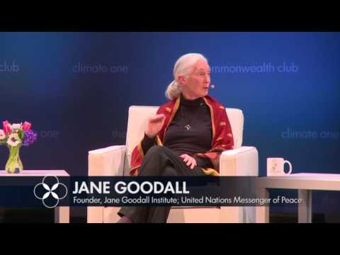 Jane Goodall Discusses Over Population
