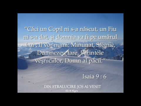 DIN STRALUCIRE JOS AI VENIT - Ilie A Negru