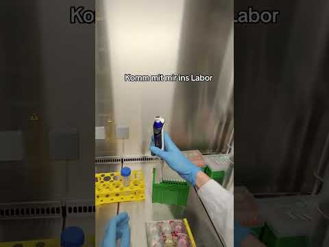 Komm mit mir ins #Labor zu den #Stammzellen 👩🏼‍🔬 Hast du Fragen? 🤓 #AmR