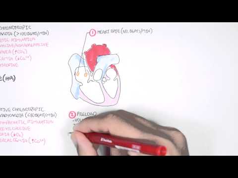 Cardiologie - débit cardiaque