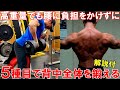 【筋トレ】背中のトレーニングで高重量に挑戦！5種目で広背筋と僧帽筋を鍛える【解説付】