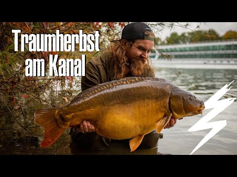 Karpfenangeln am Kanal - 15 Jahre Realness mit Mark Dörner | Rambazamba Stories #1