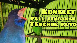 Download lagu Cucak Ijo Nembak Isian Tengkek Buto Full Tembakan Kasar mp3 Download lagu Cucak Ijo Nembak Isian Tengkek Buto Full Tembakan Kasar mp3