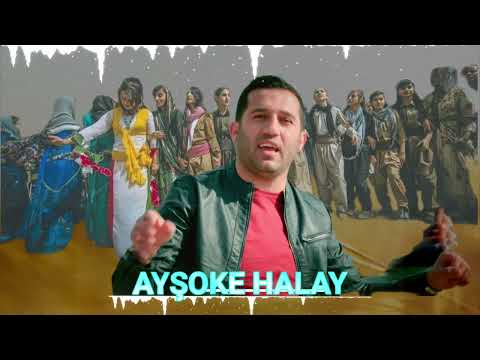 Ayşoke Halay 2025 | Hozan İbo