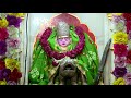 KALOL CITY VIDEO