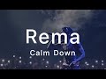 When Crowd Sings For Rema Calm Down Lyrics Whatsapp Status Rema Calmdown Live Shorts