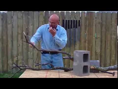 Belt Sword vs  Katana - Hardwood Cut #23