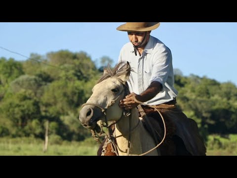 FIRMADO NOS ARREIO -  OS RIBEIROS