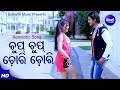 Chup Chup Chori Chori Romantic Film Song Nibedita Sourin Riya Abhisek Sidharth Music