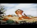 Die Vielen Abenteuer Von Winnie Puuh VHS Werbespot 1996
