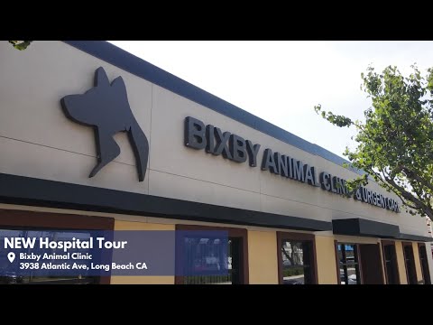 Bixby Animal Clinic: Veterinary Hospital Tour
