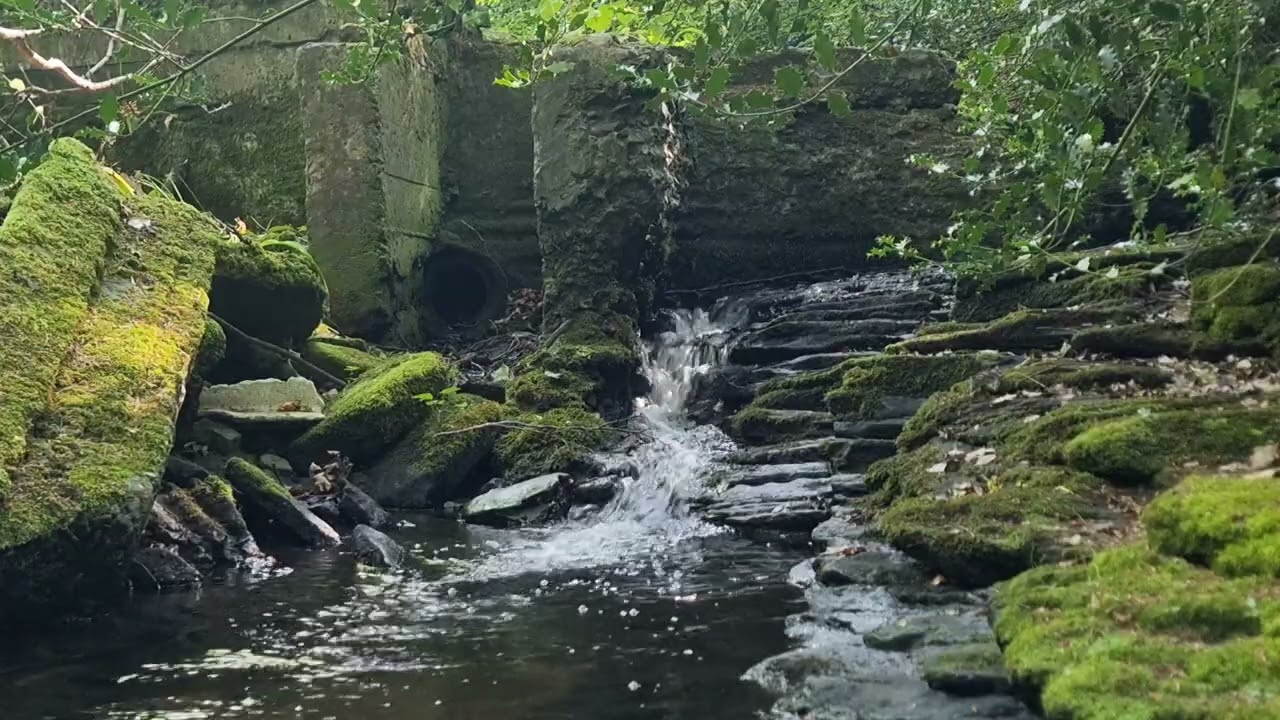Relaxing Forest Waterfall Ambience | Peaceful Stream Sounds & White Noise for Sleep