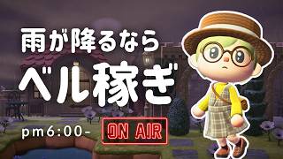 【あつ森雑談ラジオ】離島の景色が美しすぎた！のんびりベル稼ぎの日-pm6:00～｜睡眠・作業用
