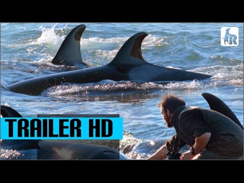 The Lighthouse Of The Whales (2016) Trailer