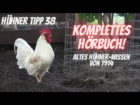 Hühner Tipp 38 -  Komplettes Hörbuch: Wirtschafts-Geflügelzucht von Arthur Wulf von 1914