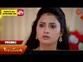 Mr.Manaivi - Promo | 17 May 2024  | Tamil Serial | Sun TV