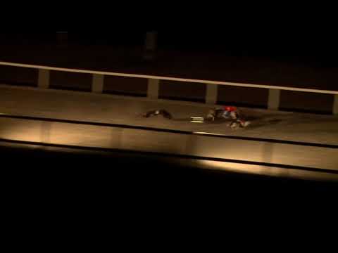 2017.12.09. 11. futam - Agár verseny