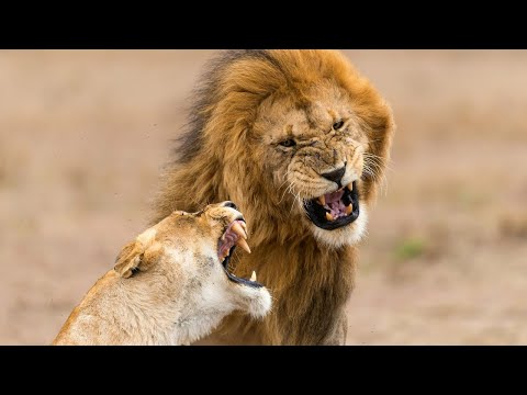 Tanzania Safari Holiday