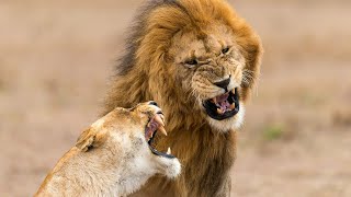 World Tours & Safaris Tanzania