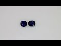 Coppia di Zaffiri Blu, taglio ovale, 0.84 ct tot. Video 1