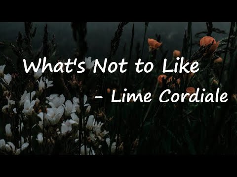 Cordi Elba - What's Not To Like Lyrics