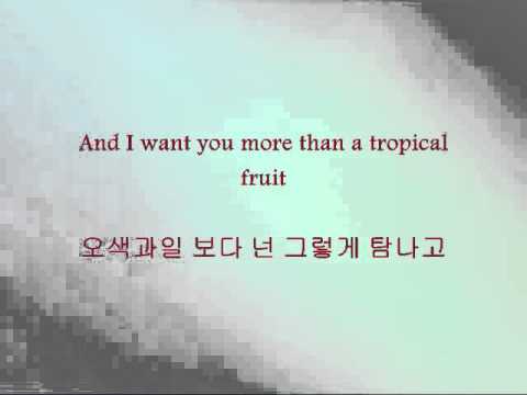 Dalmatian - Lover Cop [Han & Eng]