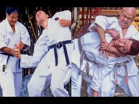 Goju Ryu techniques