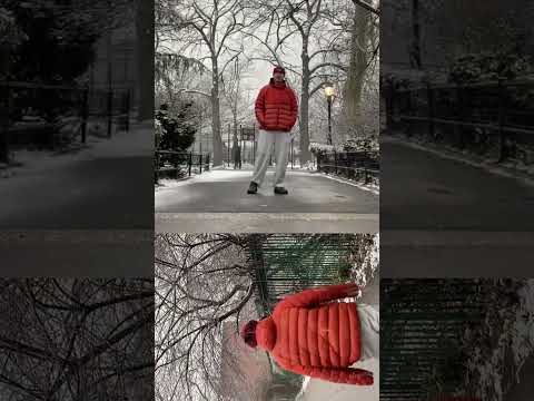 (maybe) im the pig prod sunsola - Beven Stary