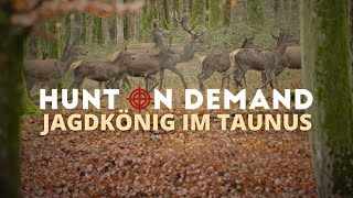 Jagdkönig im Taunus 🦌 von @wildhuntblackforest4494