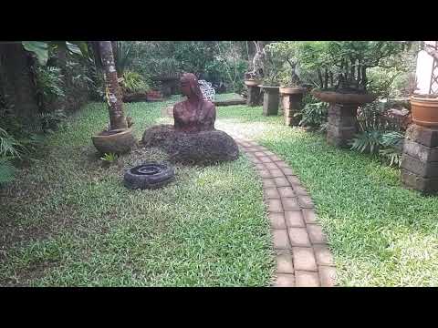 The piece of paradise