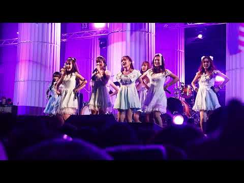 Daisy Daisy - ตึกตัก (Cat Expo 2019)