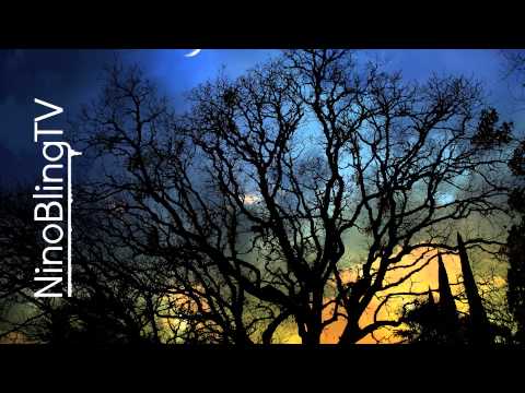 ChildsPlay - Shotje ft. Cho, SBMG, Ares & Serrano (Babel-Ish Remix)