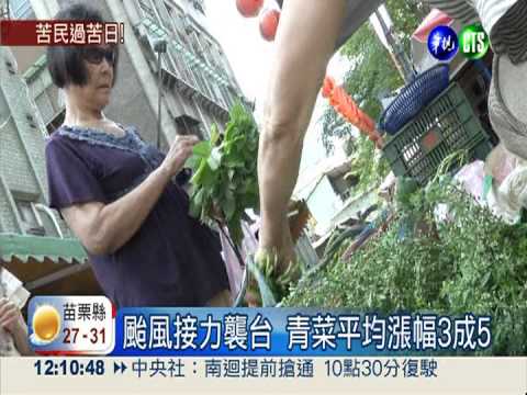 中南部農損破4億 果菜.豬肉全漲