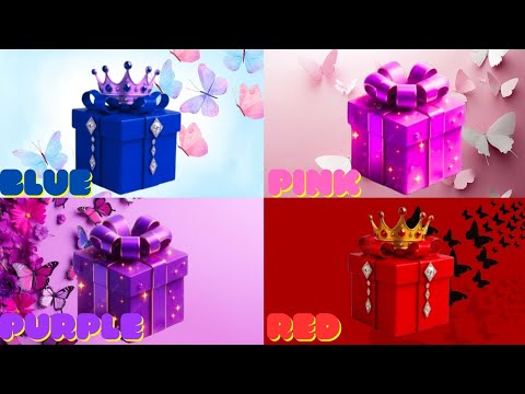 Top 4 Gift Box Options Every Shopper Needs to Know About ! 4 gift box challenge 2