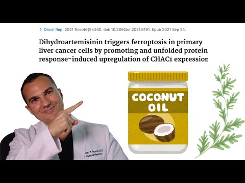 Artemisia & Palmitic Acid DECIMATE Cancer ENHANCE Ferroptosis