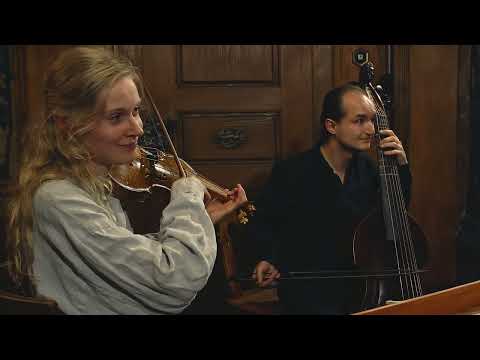 't Uitnement Kabinet - Suite